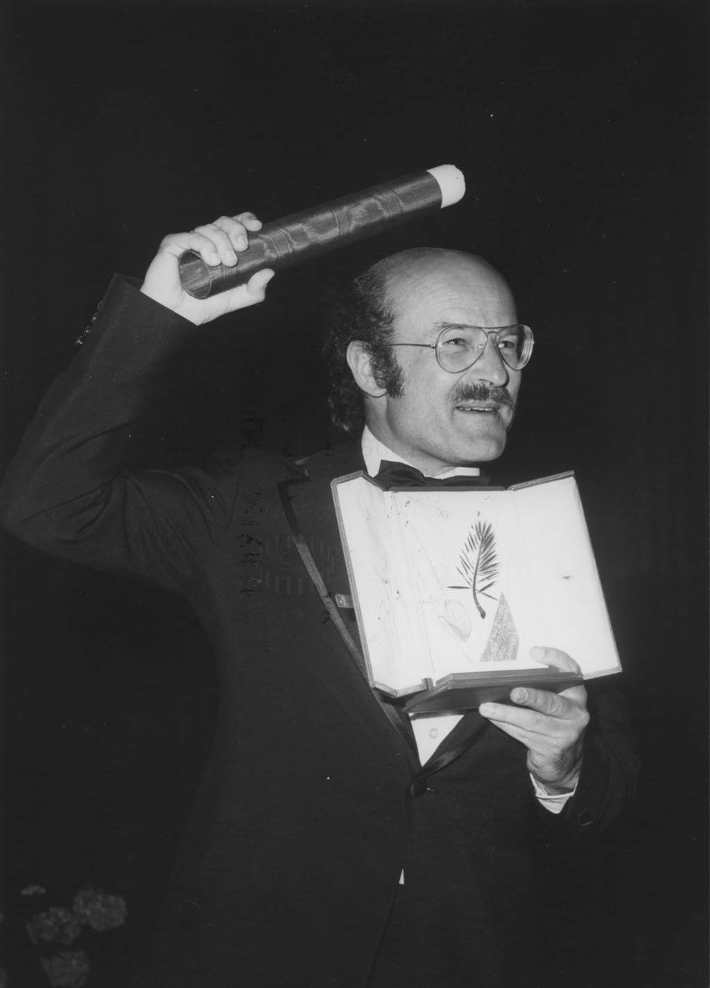 DIE BLECHTROMMEL // Preise und Veranstaltungen / Cannes 1979, 3